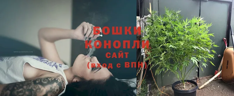 дарнет шоп  Полтавская  Бошки Шишки Bruce Banner 